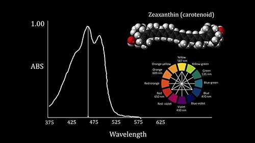 分光光度法测定溶液浓度