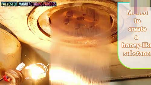 粘胶和涤纶的区别