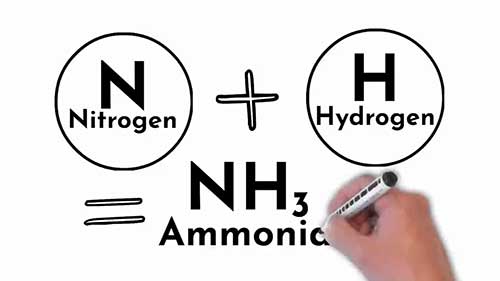 什么是氨煤共烧技术