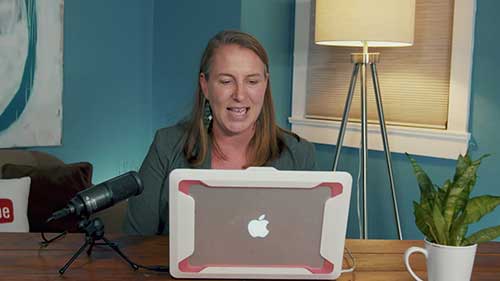 特斯拉案例研究