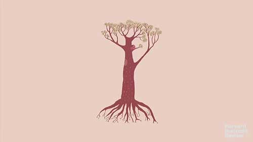 找到公司的核心竞争力