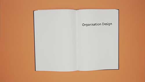 了解组织设计