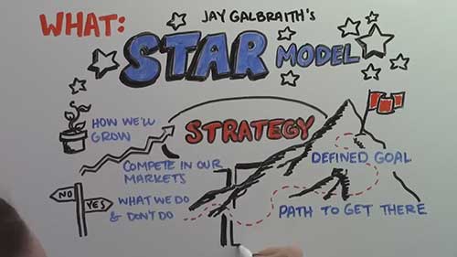 什么是组织设计