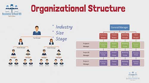6种常见的组织结构