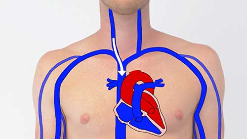 临床检查：颈静脉压检查