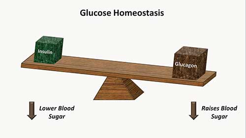 糖尿病药物指南