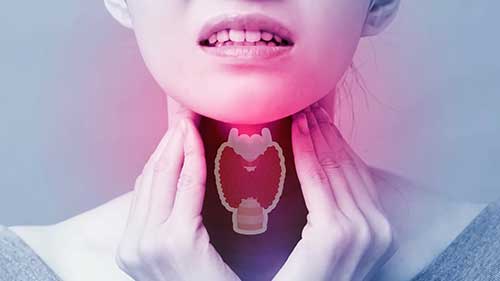 甲状腺疾病概述