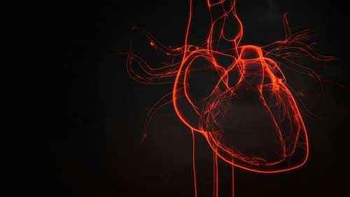 心律失常基础知识