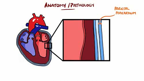 心肌炎和心包炎