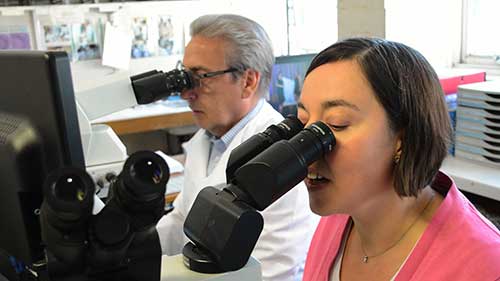 什么是血液科医师