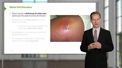 白细胞疾病知识讲座