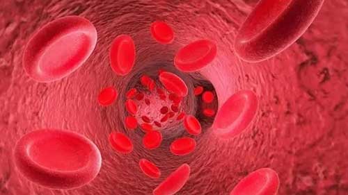 贫血：诊断框架