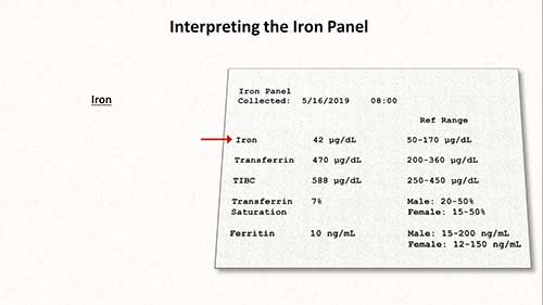 贫血：解读铁检测报告