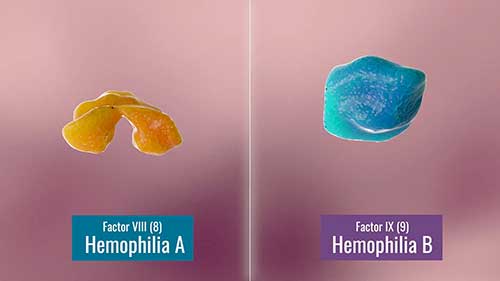 因子替代疗法动画演示