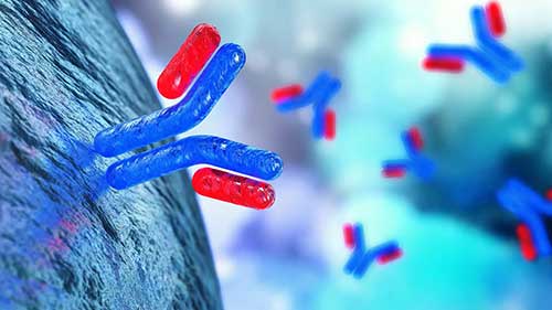 如何检测单克隆蛋白