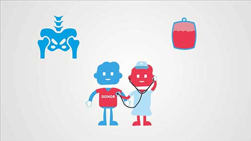 造血干细胞移植概述