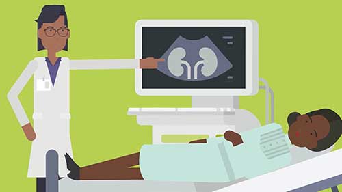 如何检查肾脏是否健康