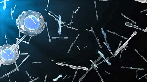 痛风：定义与症状