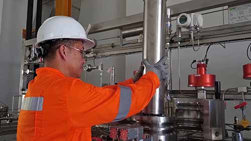 超临界流体萃取：大杯橄榄