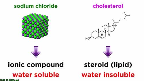 萃取法分离混合物组分