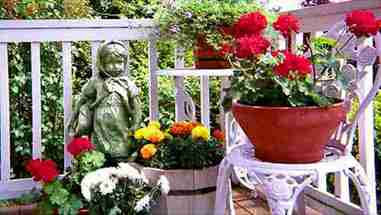 38种创新性园艺方法