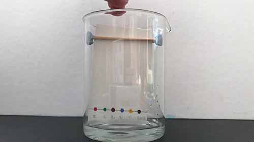 分离技术——纸层析