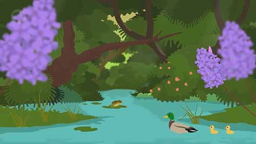 工程学速成课 29环境工程