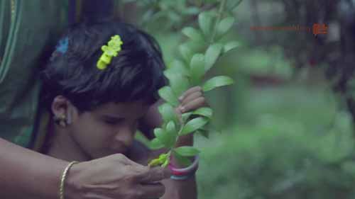 看不见也听不见的她如何学习