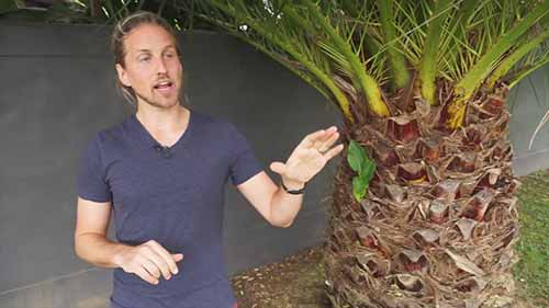 在人群前面发言时应该如何获取别人的注意力