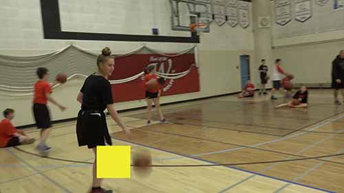 体育辅导：篮球活动