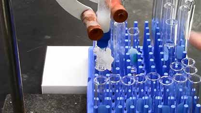 离子交换法纯化蛋白质