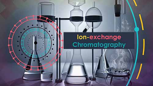 离子交换色谱法动画详解