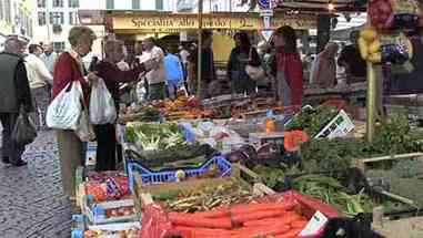 现代农业的多样性