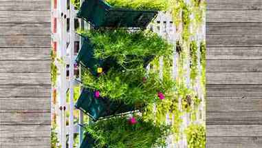 130种最好的园艺方法