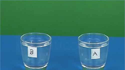 洋葱根尖的科学研究