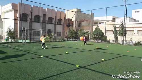 不同尺寸球类训练