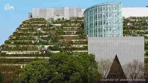 树木与建筑的融合