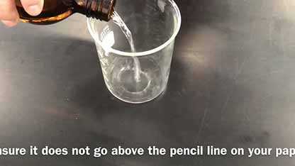 色谱法分离光和色素