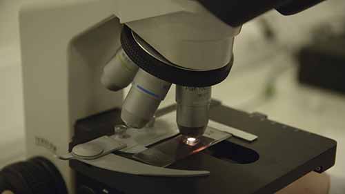 兽医新生的学习生活