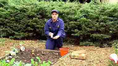 土壤样品的采集