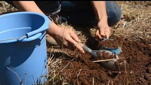 实验室分析所用的土壤样品采集