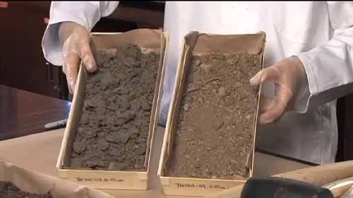 土壤样品的制备