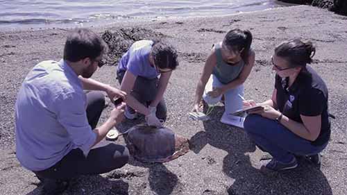 我们能为环境做些什么