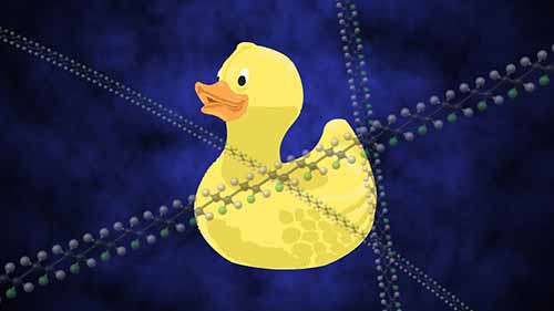 从DNA到橡皮泥，聚合物的多样化世界