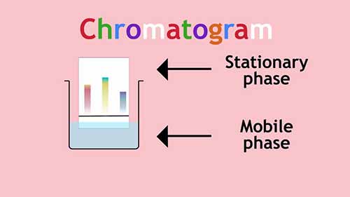 纸层析和薄层层析