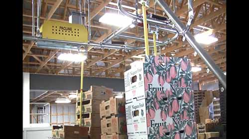 使用空纸箱传送带的水果包装