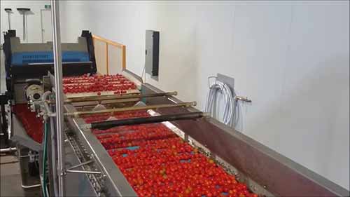 苹果自动分拣线