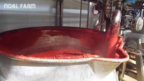 番茄自动加工生产线