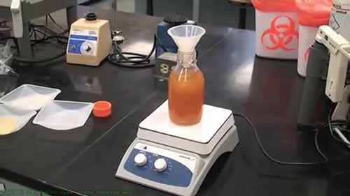 琼脂的制作与倾倒