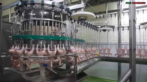 鸡肉自动加工生产线